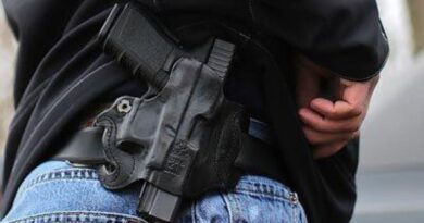 Georgia's Lt. Governor Wants to Pay Teachers an Extra $10,000 to Carry Guns in Schools | The Gateway Pundit | by Mike LaChance