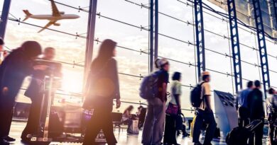 IATA sees appetite for digital IDs in new passenger survey