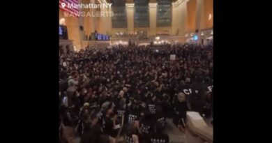 VIDEO: Hundreds of Alleged "Jewish-American Protesters" SHUT DOWN Grand Central Station in Manhattan - Demand Israel Halt Operations Against Hamas | The Gateway Pundit | by Cullen Linebarger