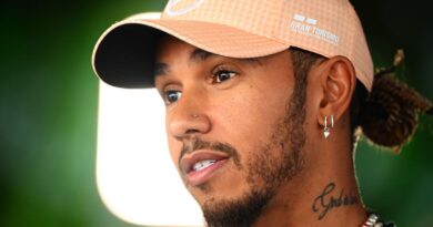 Lewis Hamilton suspects more than '50 per cent' of F1 cars would have breached plank rules at US GP if whole grid were checked