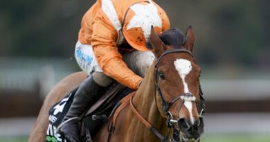 Metier has the option to run in the Chester Cup next month