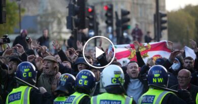 Video: Right-Wing Counterprotesters Clash With Police in London