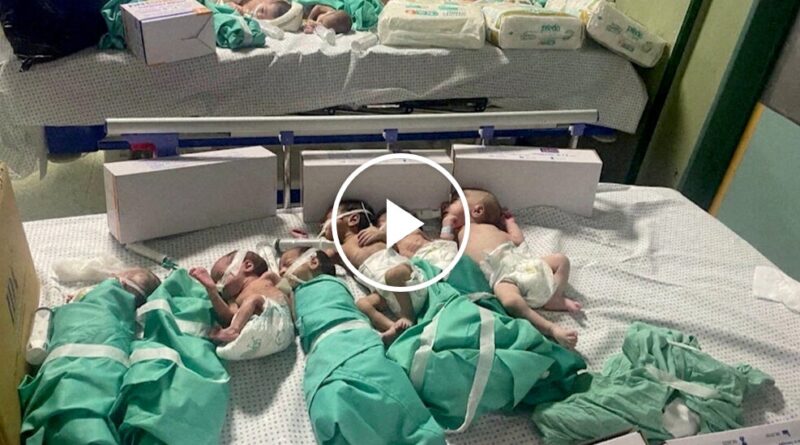 Video: Babies at Al-Shifa Hospital Moved to Ward With Electricity