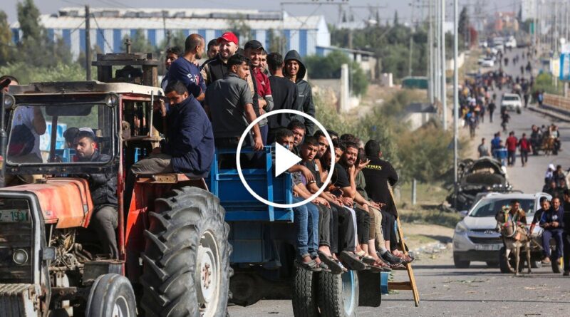 Video: Displaced Palestinians Try to Return Home to Northern Gaza