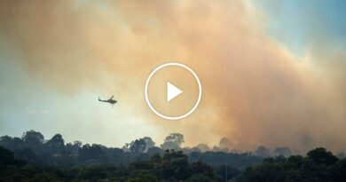 Video: Firefighters Battle Blazes in Australia