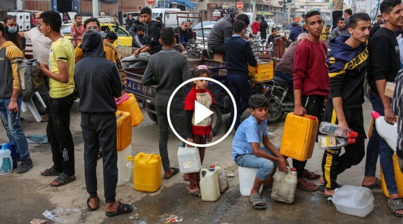 Video: Gazans Wait in Long Lines for Supplies During Brief Cease-Fire