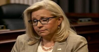 Liz Cheney Gets on Her High Horse to Bash 'Dangerous' Speaker Mike Johnson