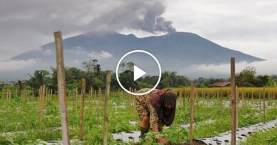 Video: Indonesian Volcano Erupts