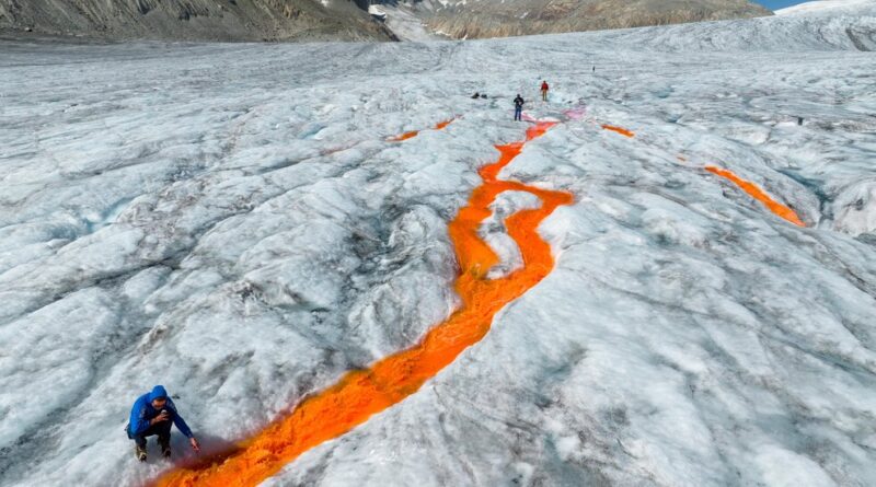 As Switzerland’s Glaciers Shrink, a Way of Life May Melt Away