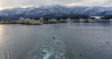 Powerful Earthquake Hits Japan, Triggering Tsunami Warnings