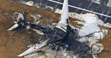 As Flames Surged, Order Prevailed Inside a Japan Airlines Jet