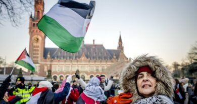 A crowd of protesters with flags in front of the court building.