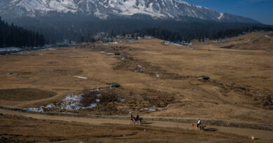 It’s January at a Big Himalayan Resort. Where’s the Snow?