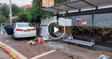 Video: Police Respond to Deadly Car-Ramming Attack Near Tel Aviv