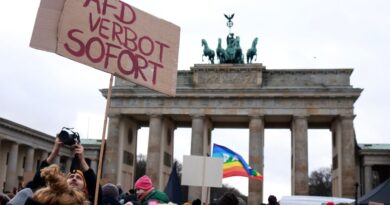 Germans Push Back as Far Right’s Influence Grows